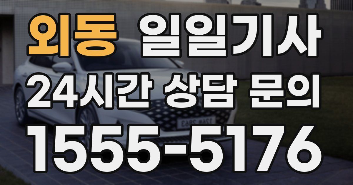 일일대리기사