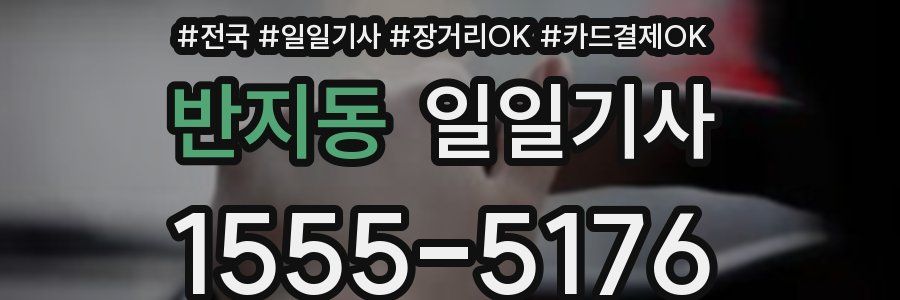 반지동 일일기사