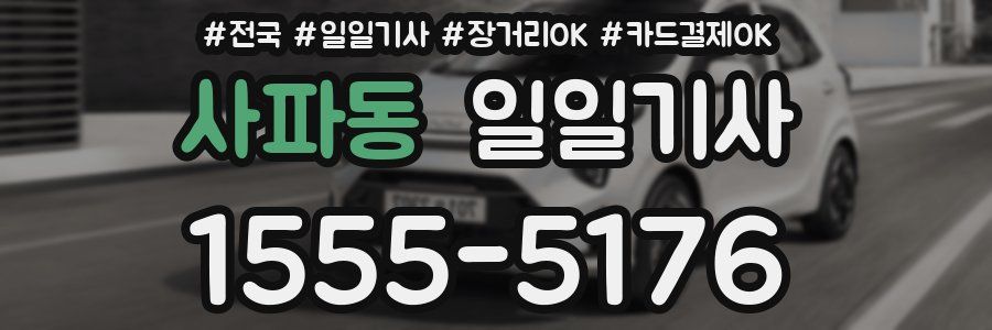 사파동 일일기사