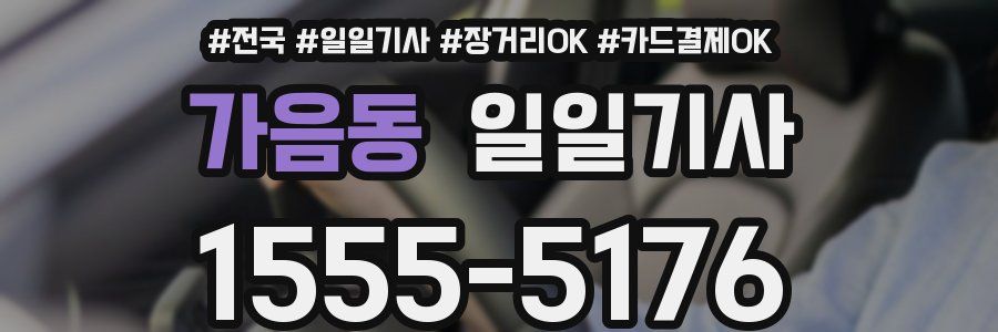 가음동 일일기사