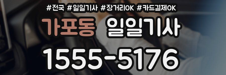 가포동 일일기사