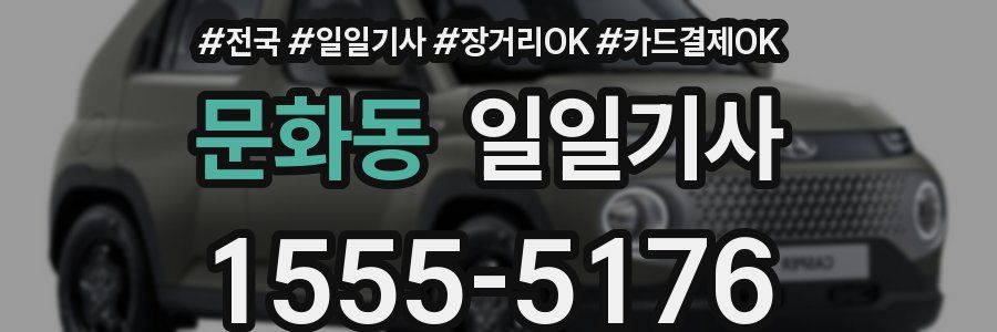 문화동 일일기사