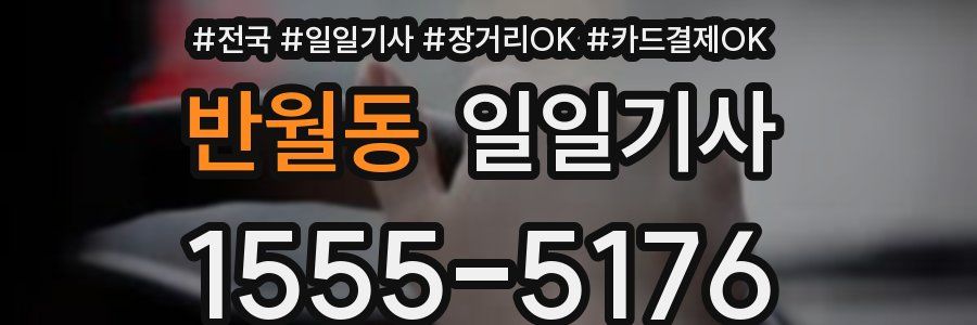 반월동 일일기사