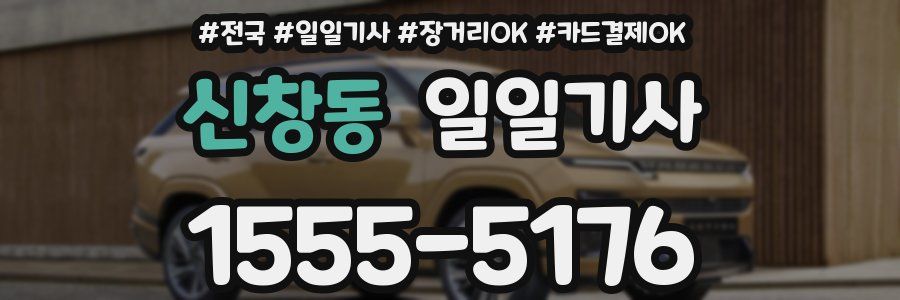 신창동 일일기사