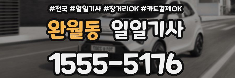 완월동 일일기사