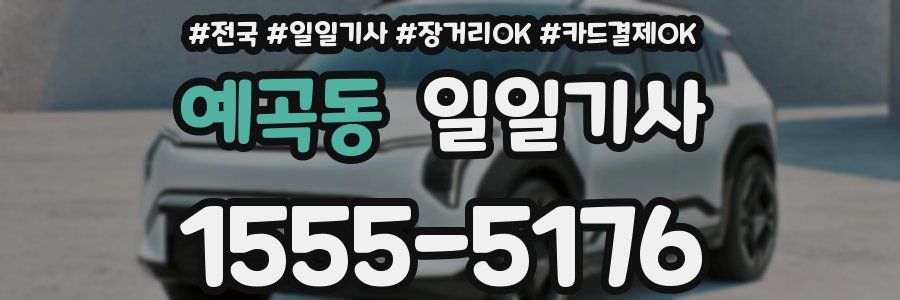 예곡동 일일기사