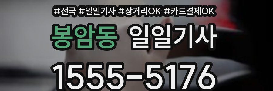 봉암동 일일기사