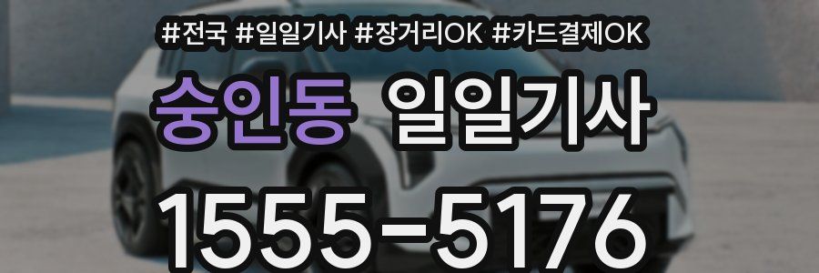 숭인동 일일기사