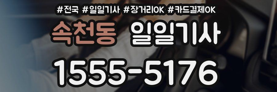속천동 일일기사