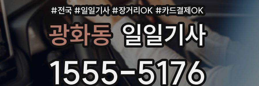 광화동 일일기사