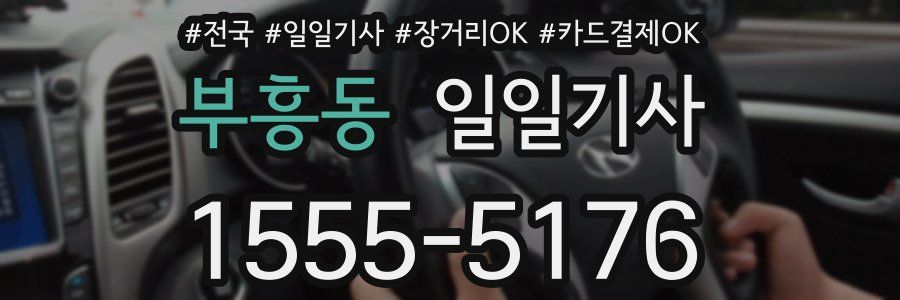 부흥동 일일기사