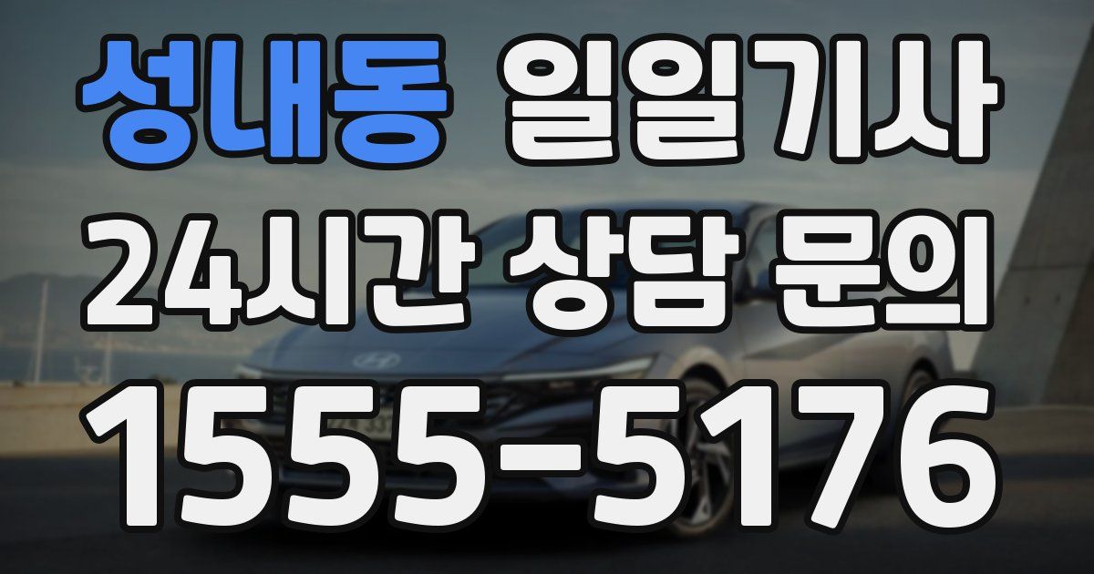 일일대리기사
