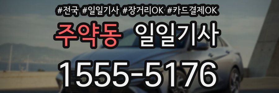 주약동 일일기사