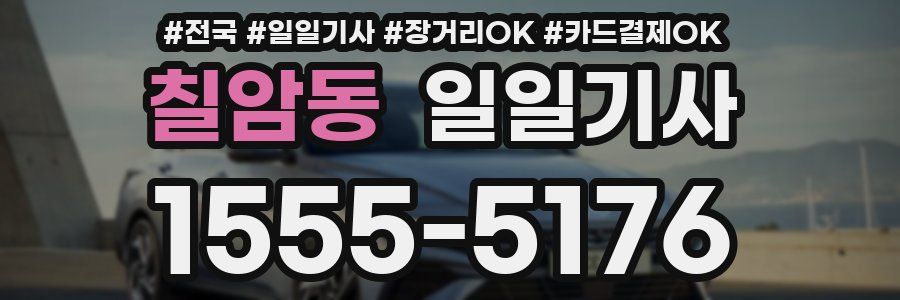 칠암동 일일기사