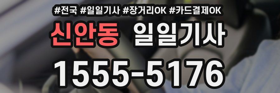 신안동 일일기사