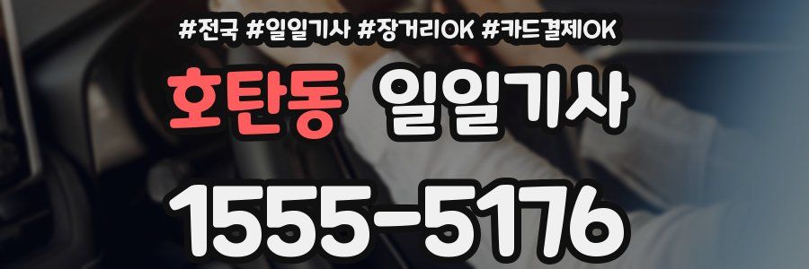 호탄동 일일기사