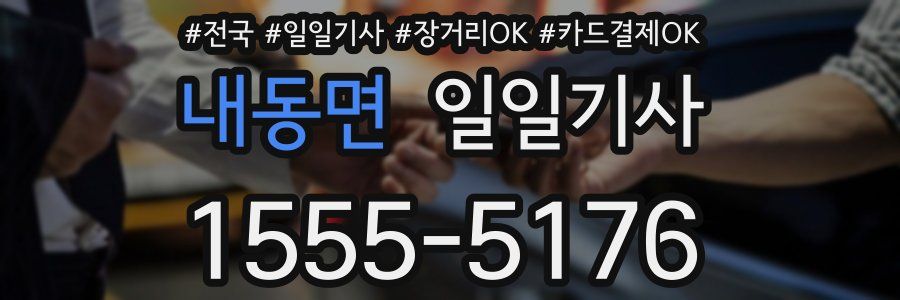 내동면 일일기사