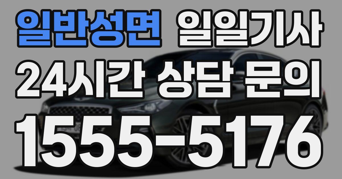 일일대리기사