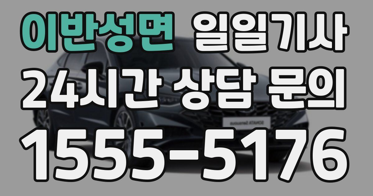 일일대리기사