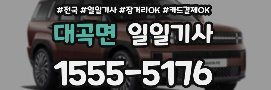 대곡면 일일기사