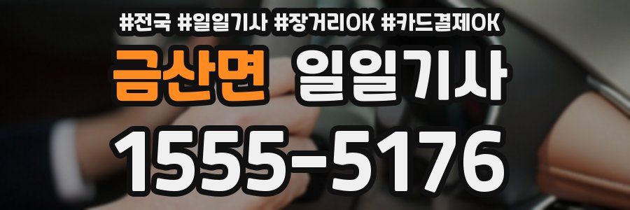 금산면 일일기사