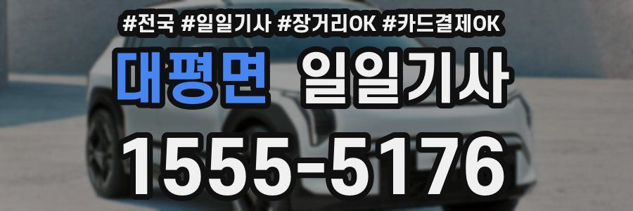 대평면 일일기사