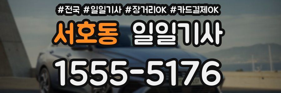 서호동 일일기사