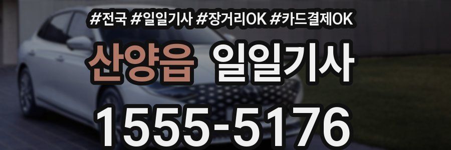 산양읍 일일기사
