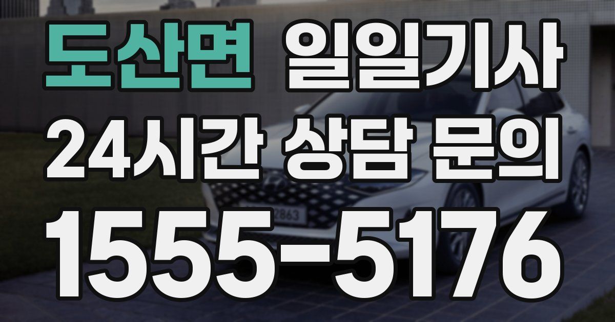일일대리기사