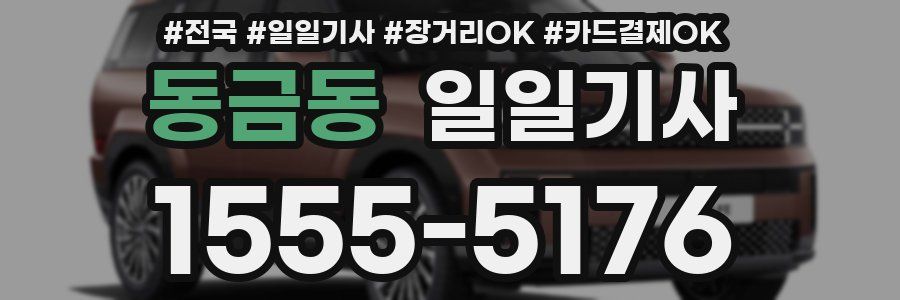 동금동 일일기사