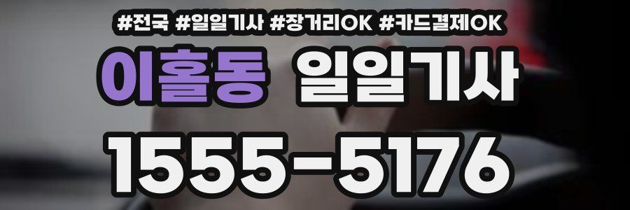 이홀동 일일기사