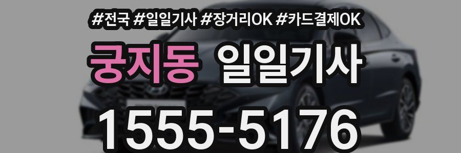 궁지동 일일기사