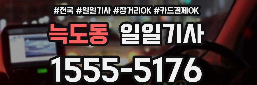 늑도동 일일기사