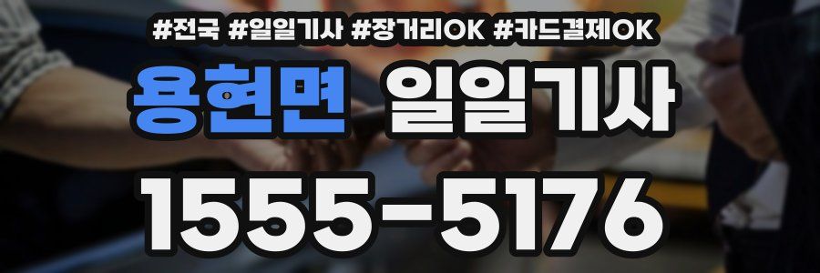 용현면 일일기사