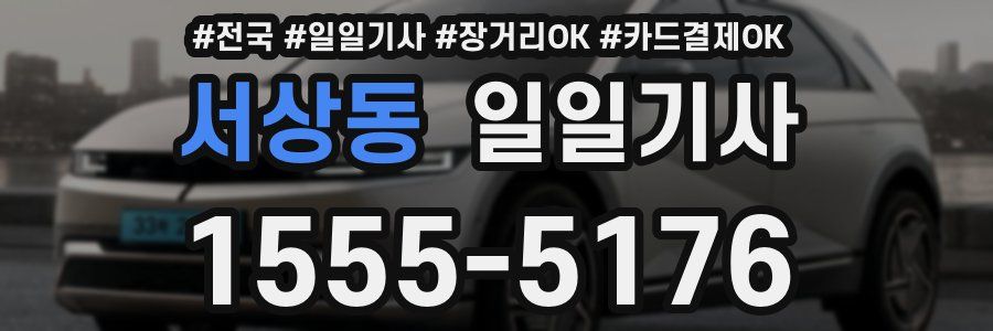 서상동 일일기사