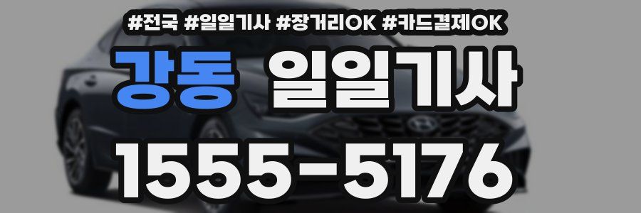 강동 일일기사