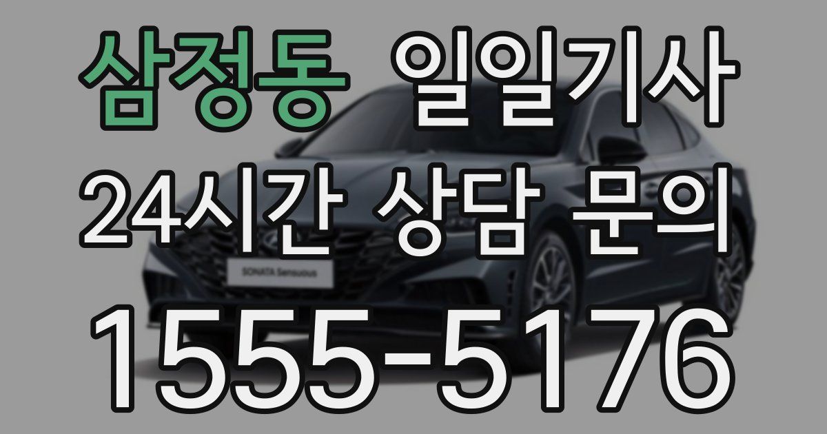 일일대리기사