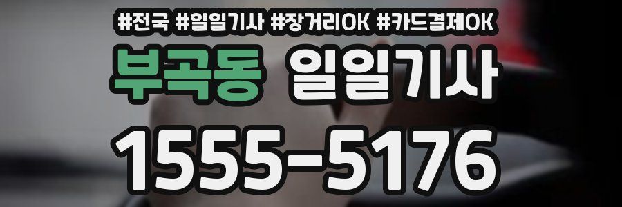 부곡동 일일기사