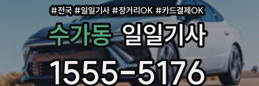 수가동 일일기사