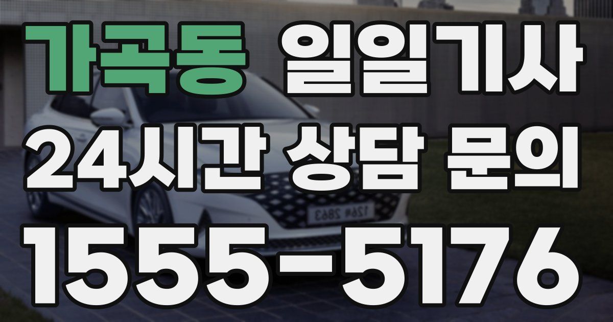 일일대리기사