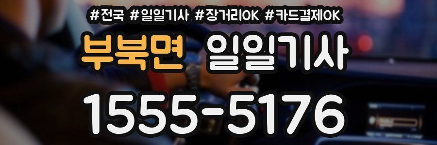 부북면 일일기사