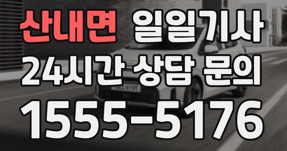 일일대리기사