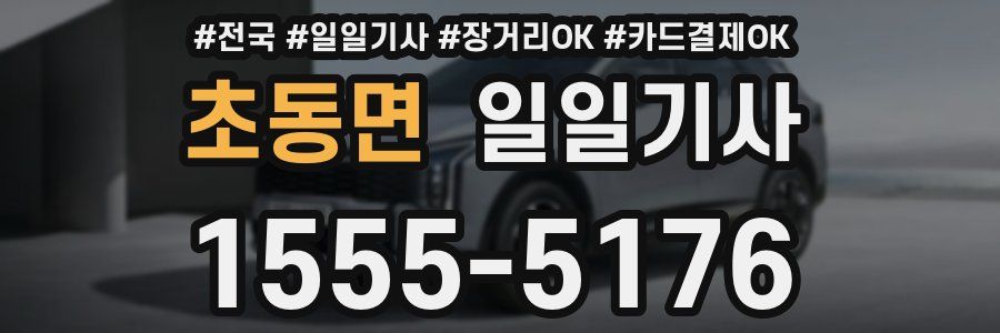 초동면 일일기사