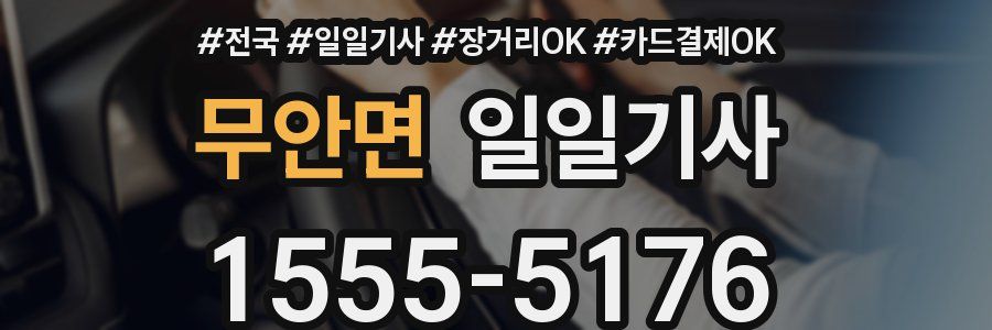 무안면 일일기사