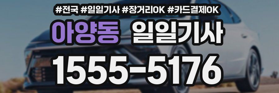 아양동 일일기사