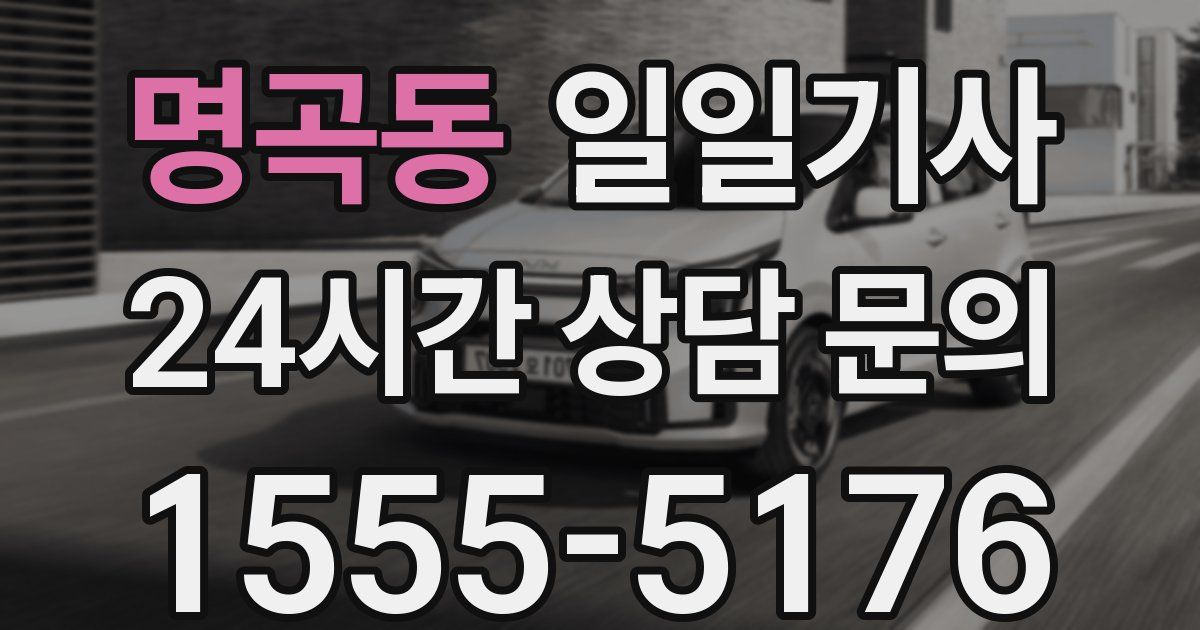 일일대리기사