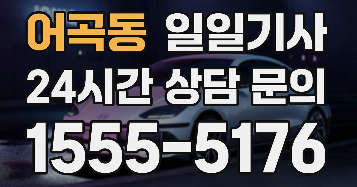 일일대리기사