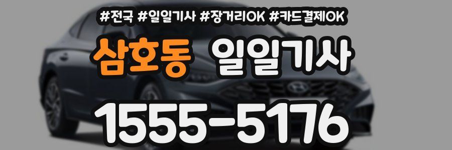 삼호동 일일기사