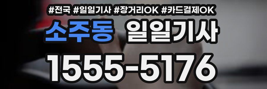 소주동 일일기사