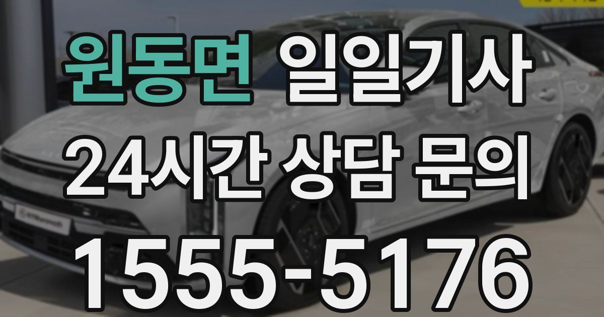 일일대리기사